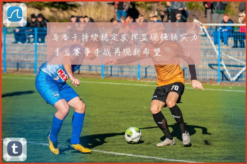 马洛卡持续稳定发挥显现强劲实力 季后赛争夺战再现新希望