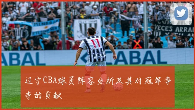 辽宁CBA球员阵容分析及其对冠军争夺的贡献