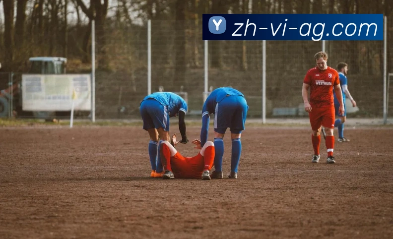 AG娱乐登录平台生态图